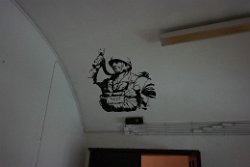 SAM_0441