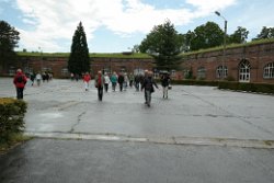 SAM_0446