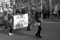 Carnaval Lachelliers