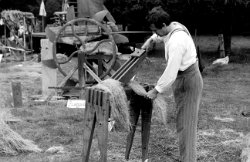 1985 Achel Grevenbroekerfeesten 1