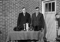 Raskweek konijnen Noorderkempen 1962 Leo Hanssen A